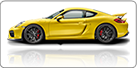 981 C GT4 (2016-2017)